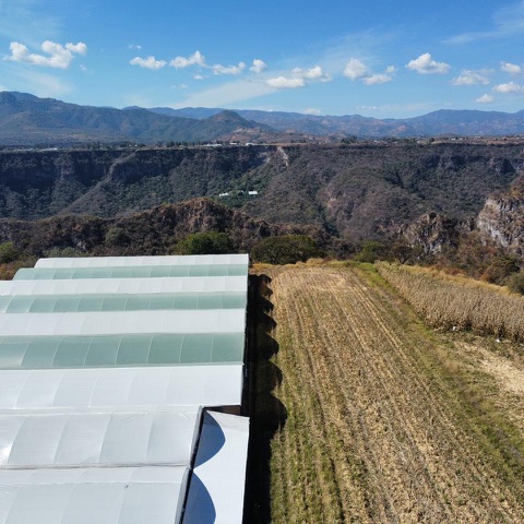 Vista aérea de los invernaderos de Josmac junto al bosque de Coatepec Harinas.